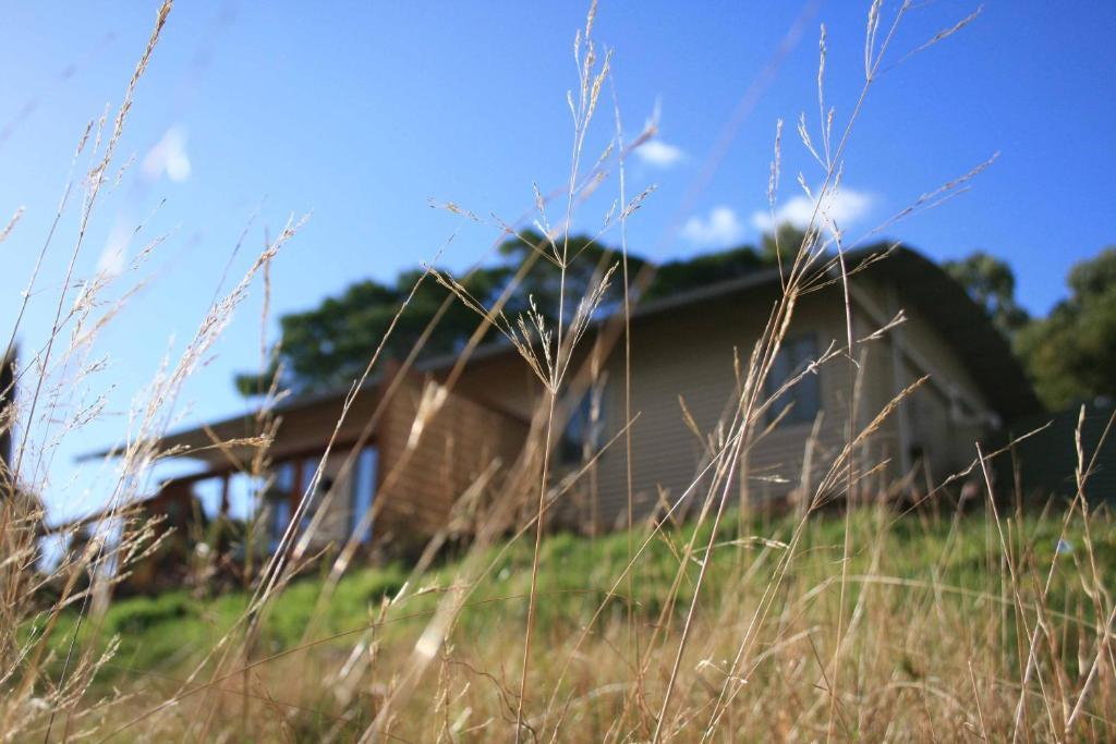 Gisborne Peak Winery Short Term Stays Habitación foto