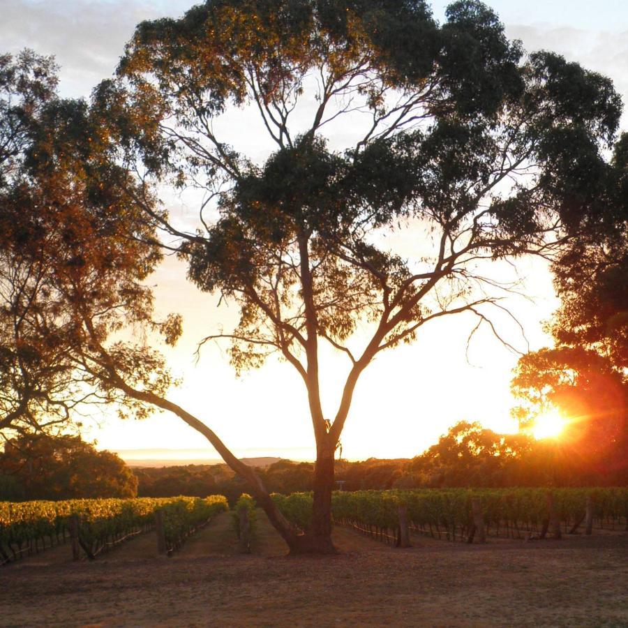 Gisborne Peak Winery Short Term Stays Exterior foto