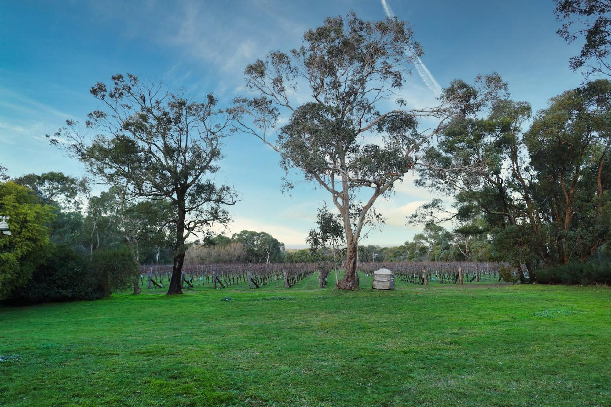 Gisborne Peak Winery Short Term Stays Exterior foto