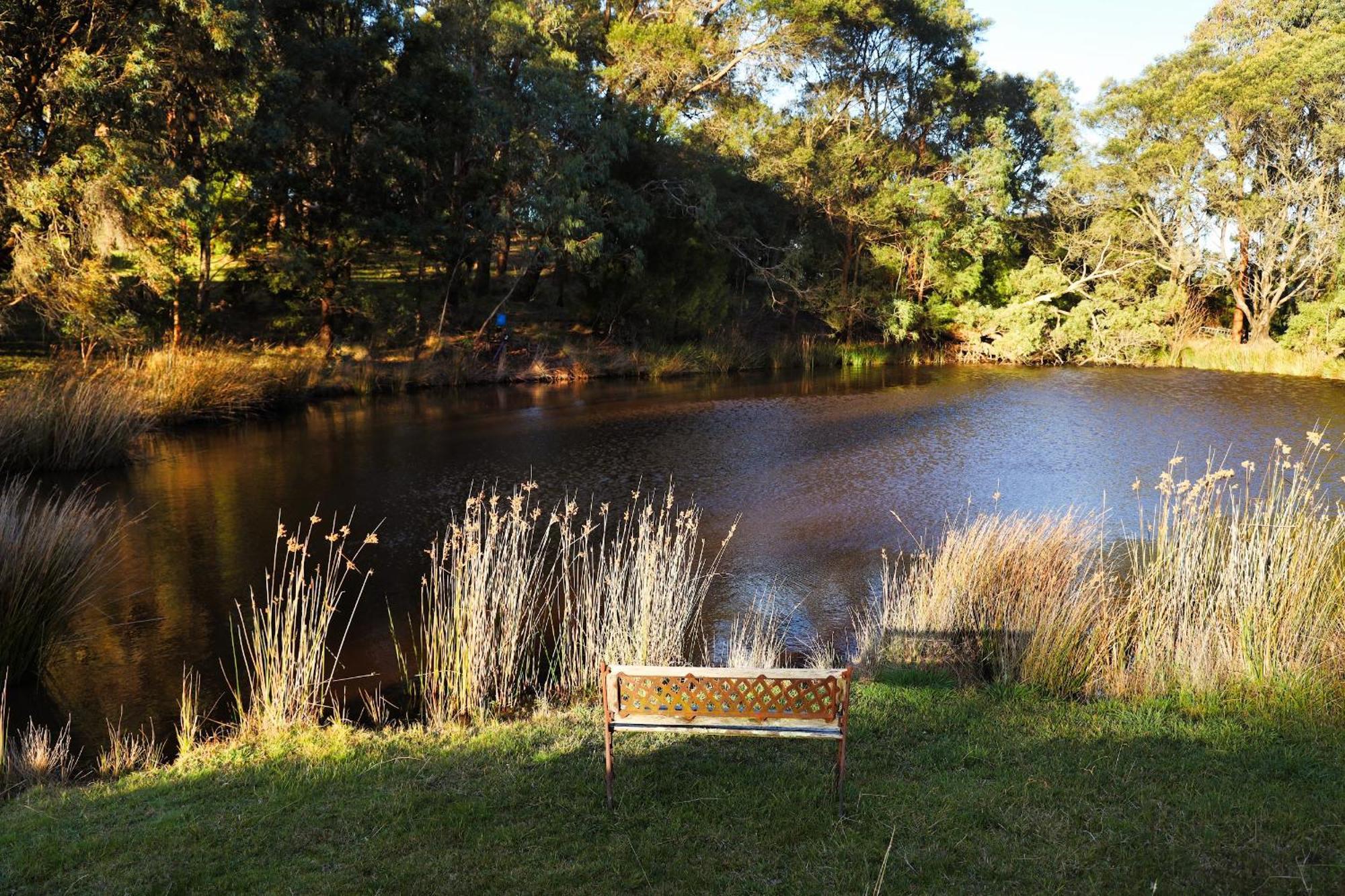 Gisborne Peak Winery Short Term Stays Exterior foto