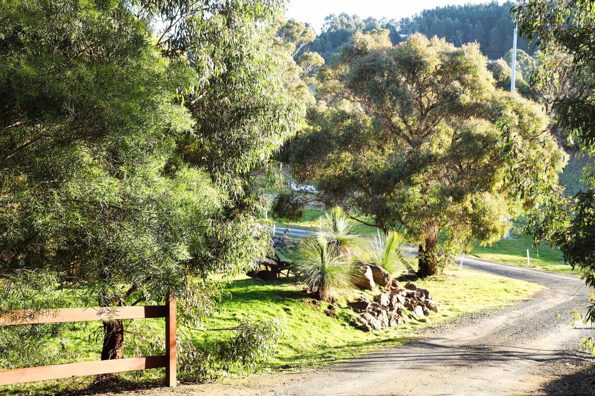 Gisborne Peak Winery Short Term Stays Exterior foto