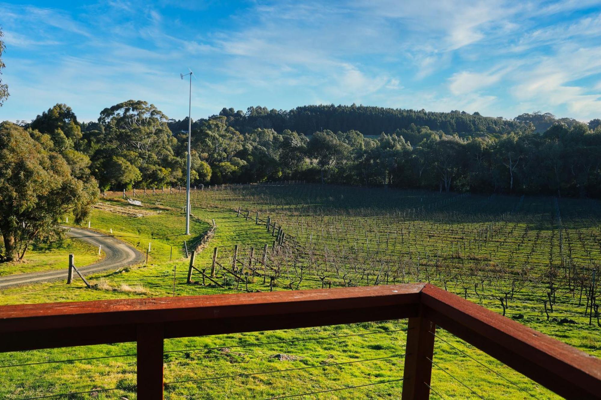 Gisborne Peak Winery Short Term Stays Exterior foto